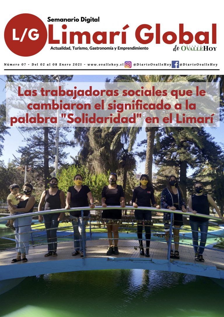 Limarí Global Nº7