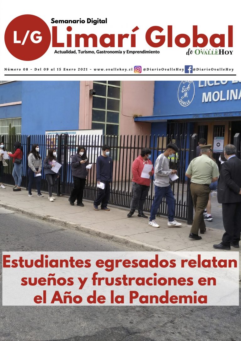 Limarí Global Nº8