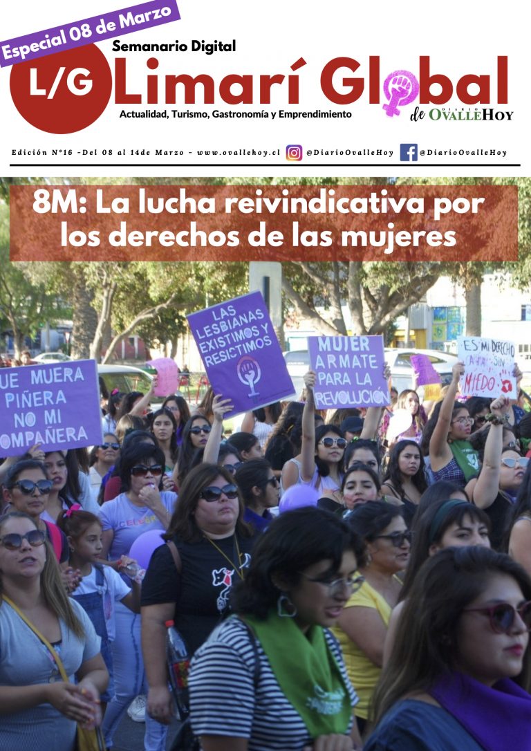 Limarí Global Nº16