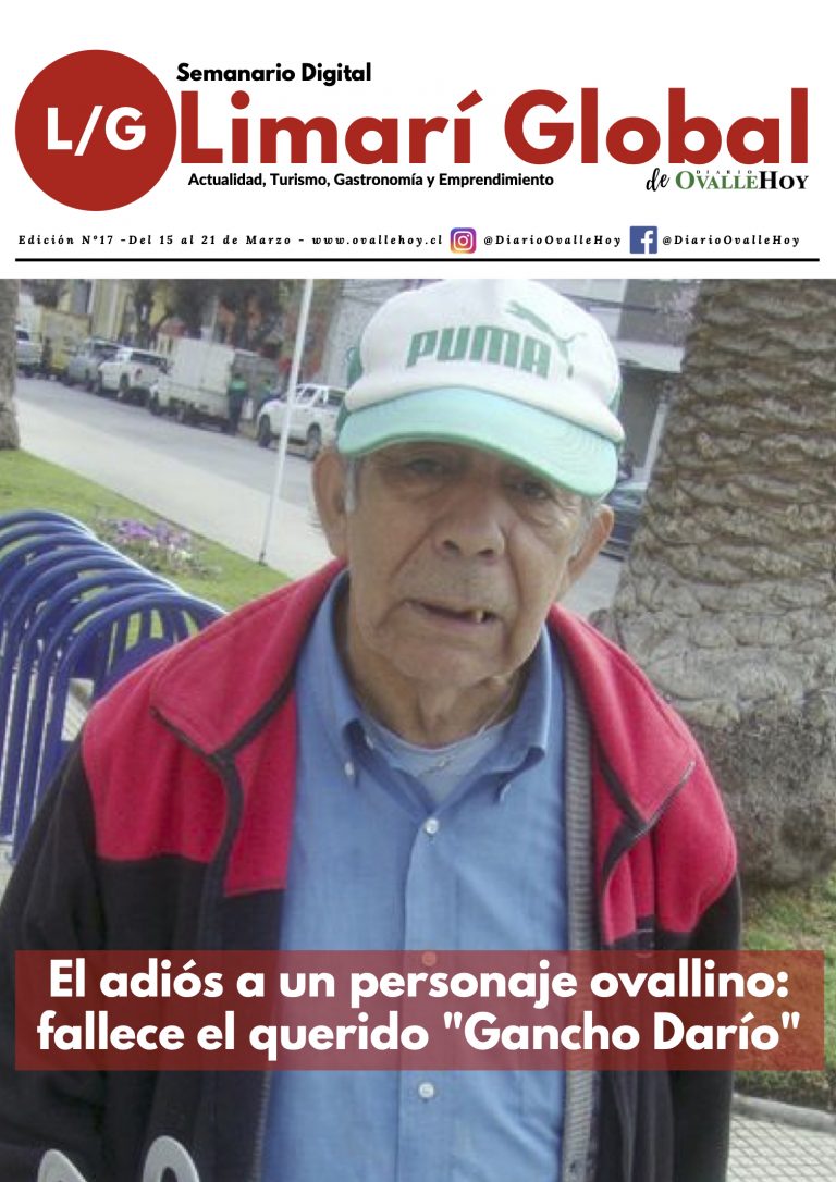 Limarí Global Nº17