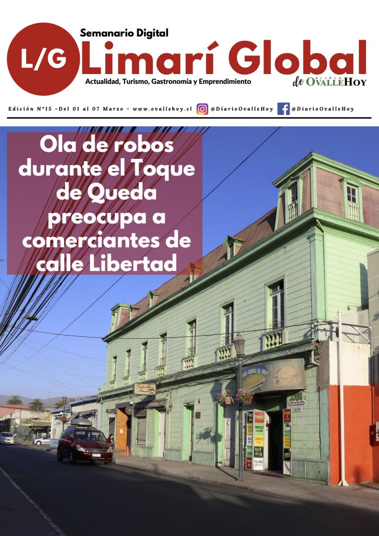 Limarí Global Nº15