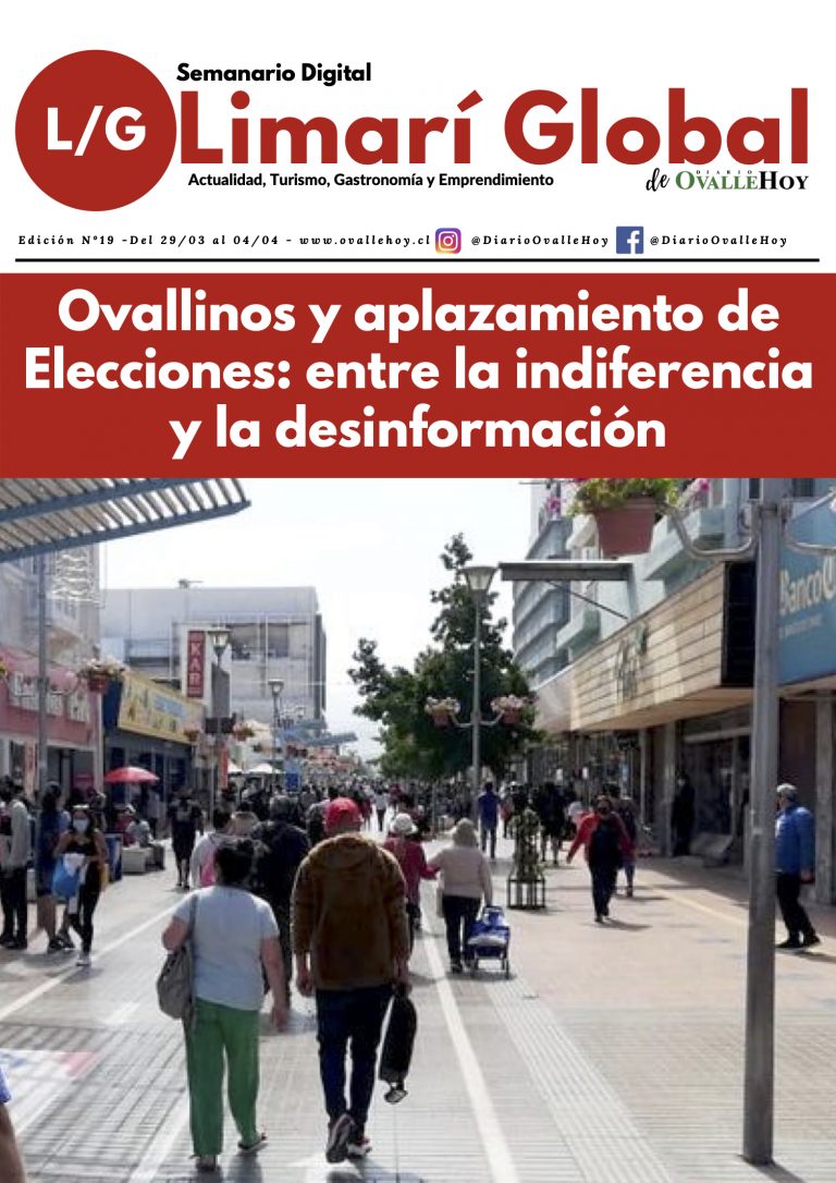 Limarí Global Nº19