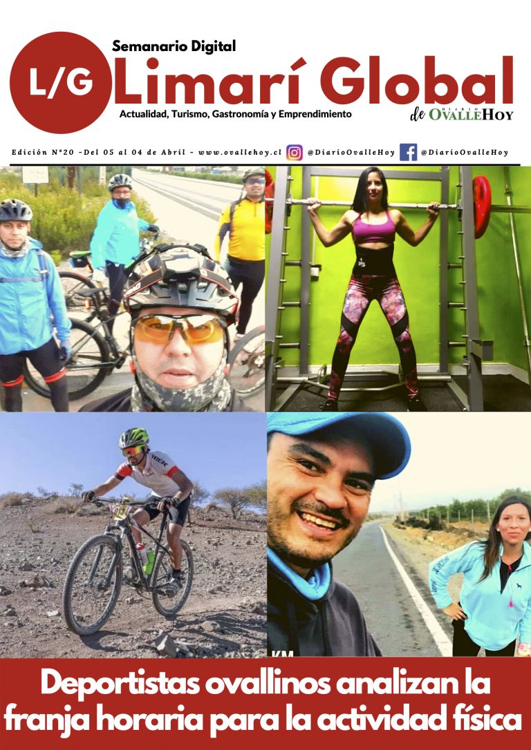 Limarí Global Nº20