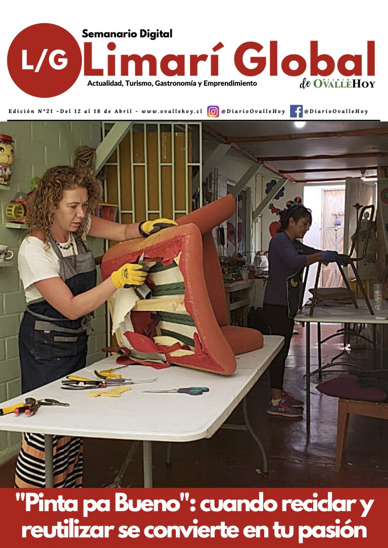 Limarí Global Nº21