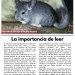 Limarí Global Nº23-3