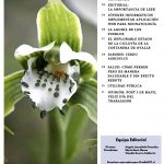 Limarí Global Nº24-2