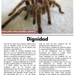 Limarí Global Nº24-3