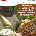 Limarí Global Nº25-1
