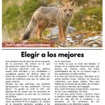 Limarí Global Nº25-3