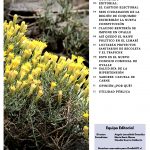 Limarí Global Nº26-2