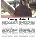 Limarí Global Nº26-3