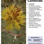 Limarí Global Nº27-2