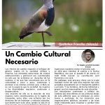 Limarí Global Nº27-3