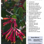 Limarí Global Nº28 2