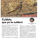 Limarí Global Nº28 3