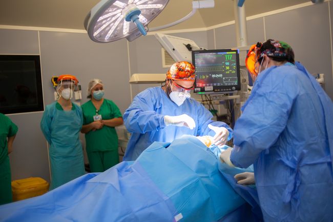 Médicos del Hospital Gustavo Fricke llegaron a Ovalle para operar a niños con fisura labiopalatina