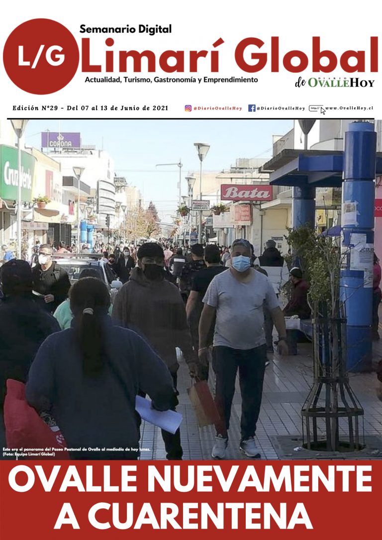 Limarí Global Nº29