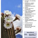 Limarí Global Nº29-2