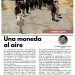 Limarí Global Nº29-3