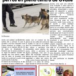 Limarí Global Nº30-11