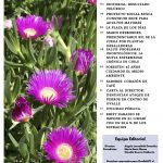 Limarí Global Nº30-2