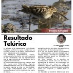 Limarí Global Nº30-3