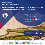 Banner Ovalle hoy (800 x 800 px)