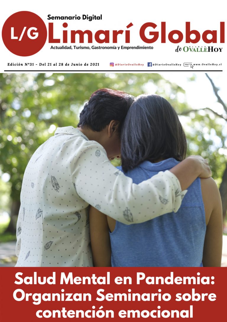 Limarí Global Nº31