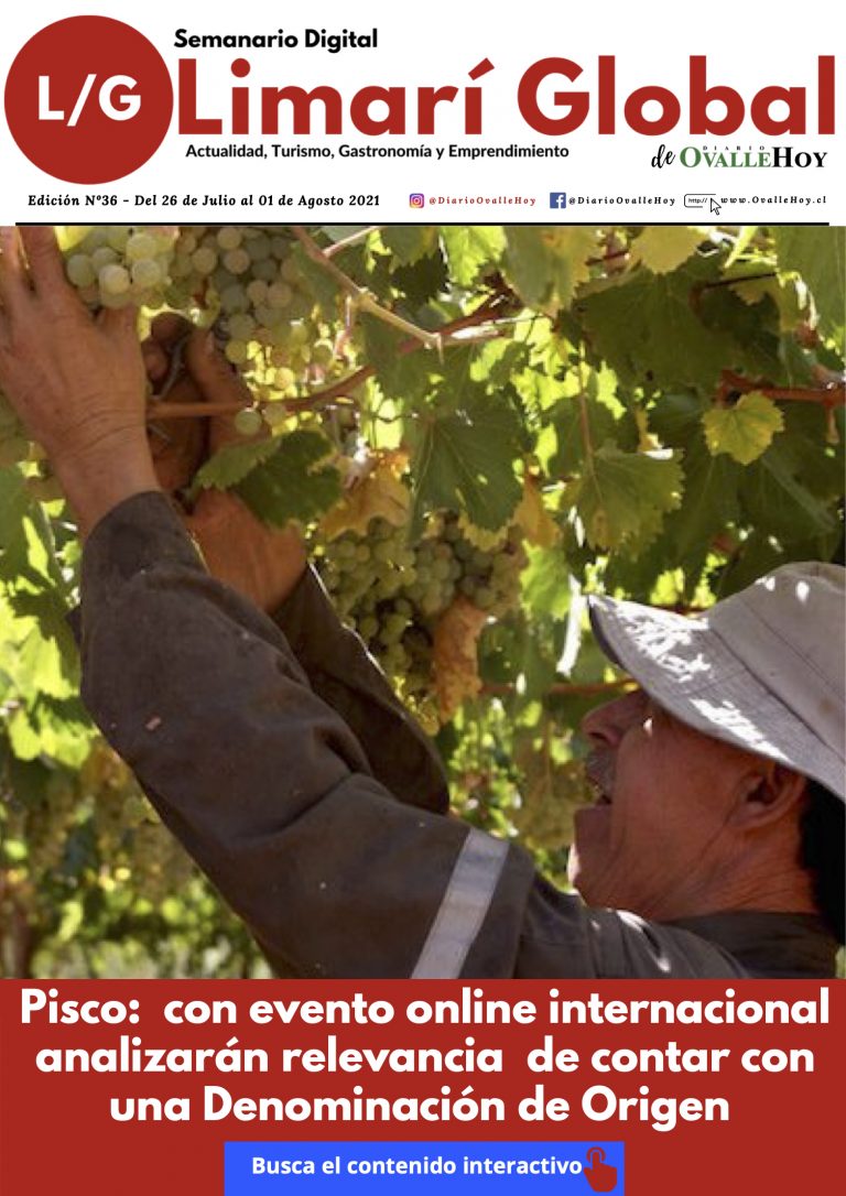 Limarí Global Nº36