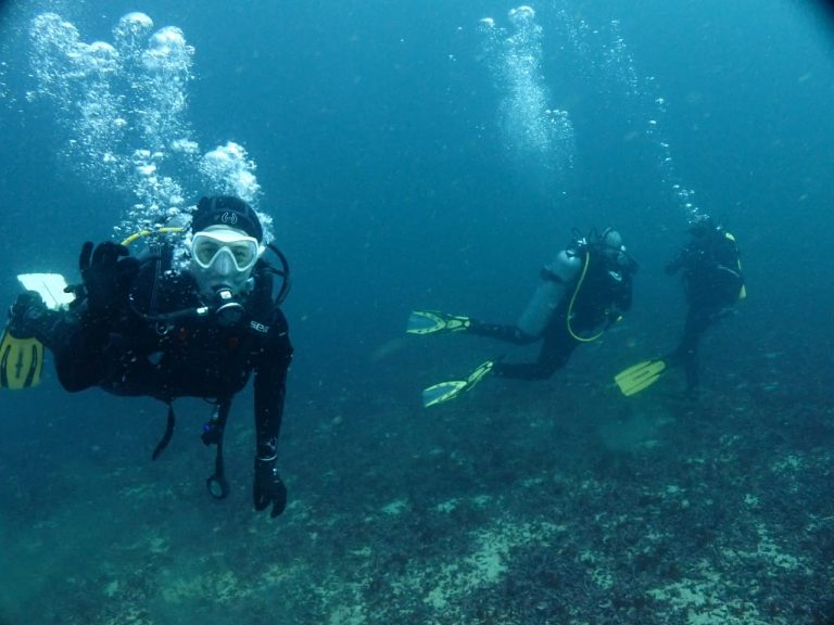 Turismo Regional: Las maravillas del mar y el buceo en Tongoy en plena pandemia