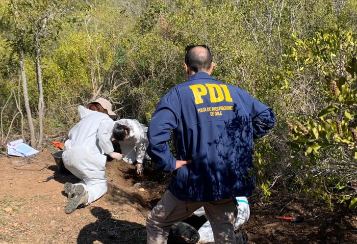 “Quitada de Droga”: Encuentran cadáver de hombre enterrado en una plantación de cannabis