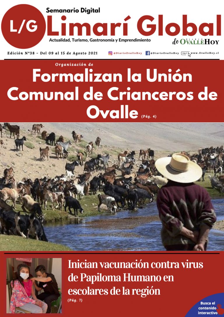 Limarí Global Nº38