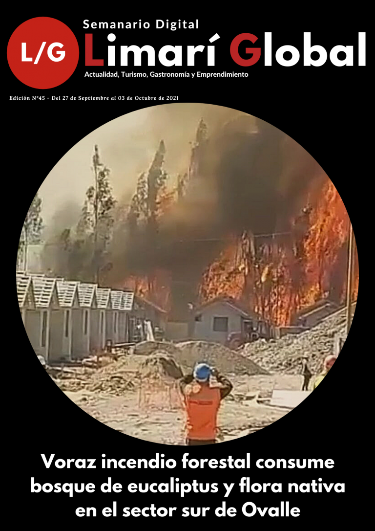 Limarí Global Nº45