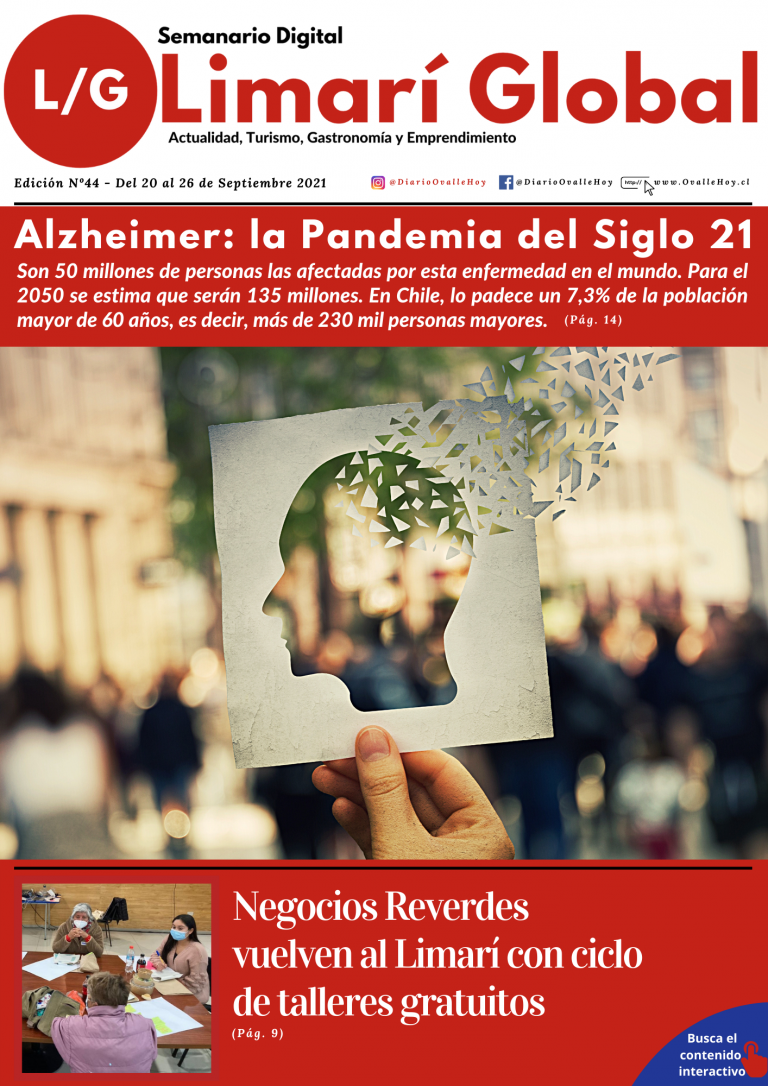 Limarí Global Nº44