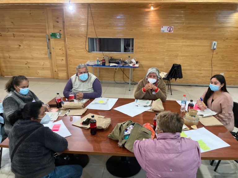 Negocios Reverdes vuelve al Limarí con ciclo de talleres gratuitos