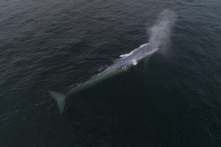 Día Internacional del Cambio Climático: “Acción climática es decir no a Dominga y proteger los santuarios naturales”