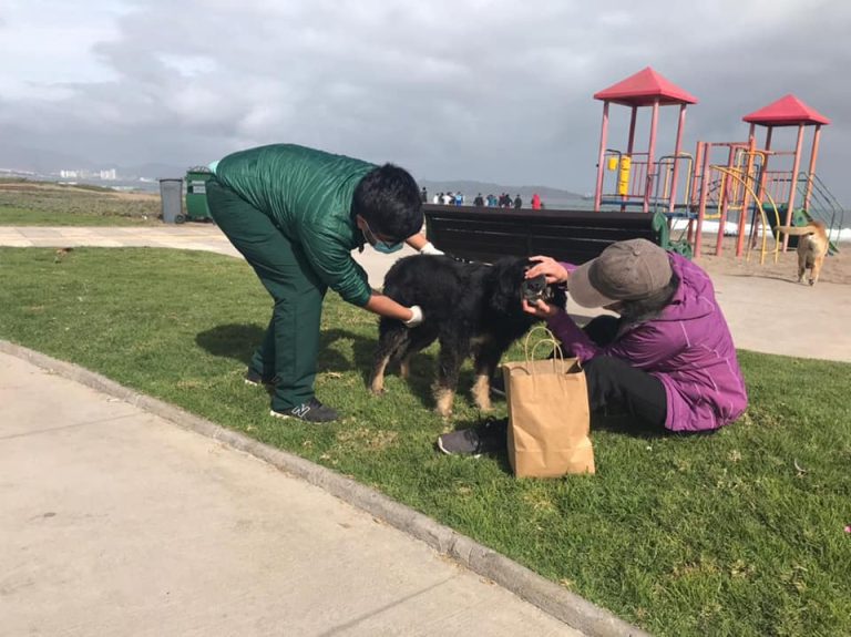 La Serena: Centro de Tenencia Responsable aplica estrategias para oportunidad de adopción de mascotas