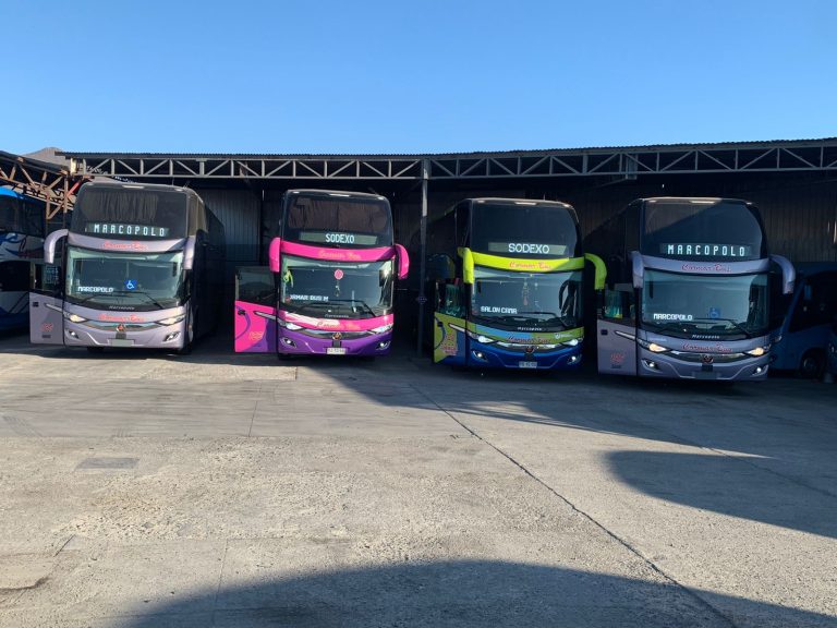 Con cambio de imagen corporativa empresa ovallina participará en el Cyberday