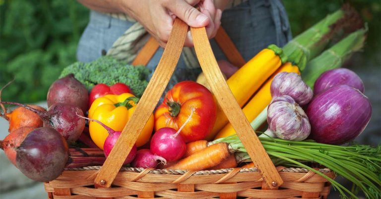 Por falta de agua utilizan microorganismos benéficos en legumbres para su producción