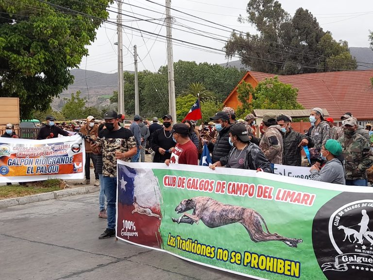 Hoy se realizó la marcha en defensa de las tradiciones y la cultura en el centro de Ovalle