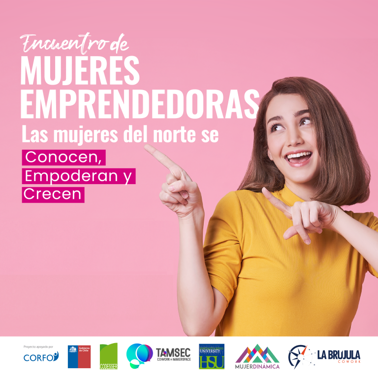 Encuentro virtual de mujeres emprendedoras de Coquimbo encabezado por Tamsec