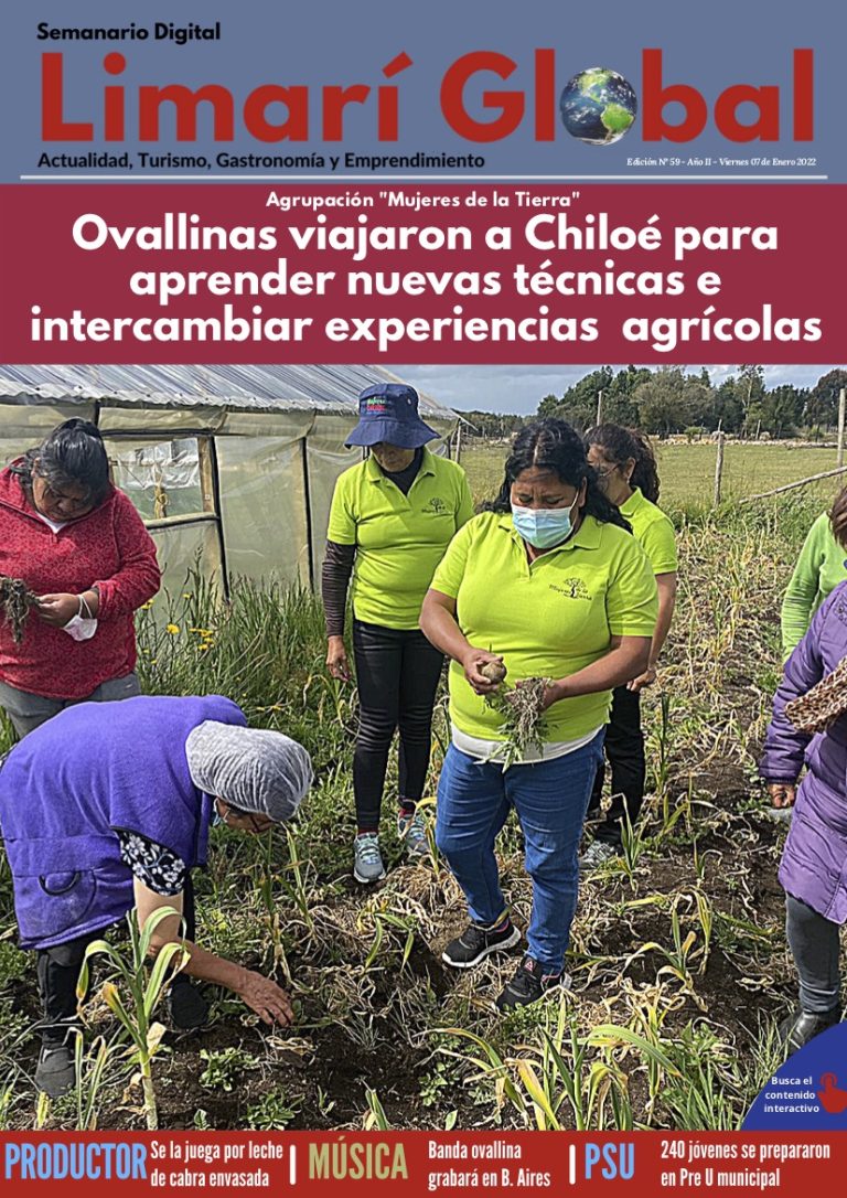 Limarí Global Nº59