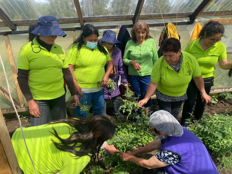 Ovallinas emprendieron viaje a Chiloé para intercambio de experiencias agrícolas