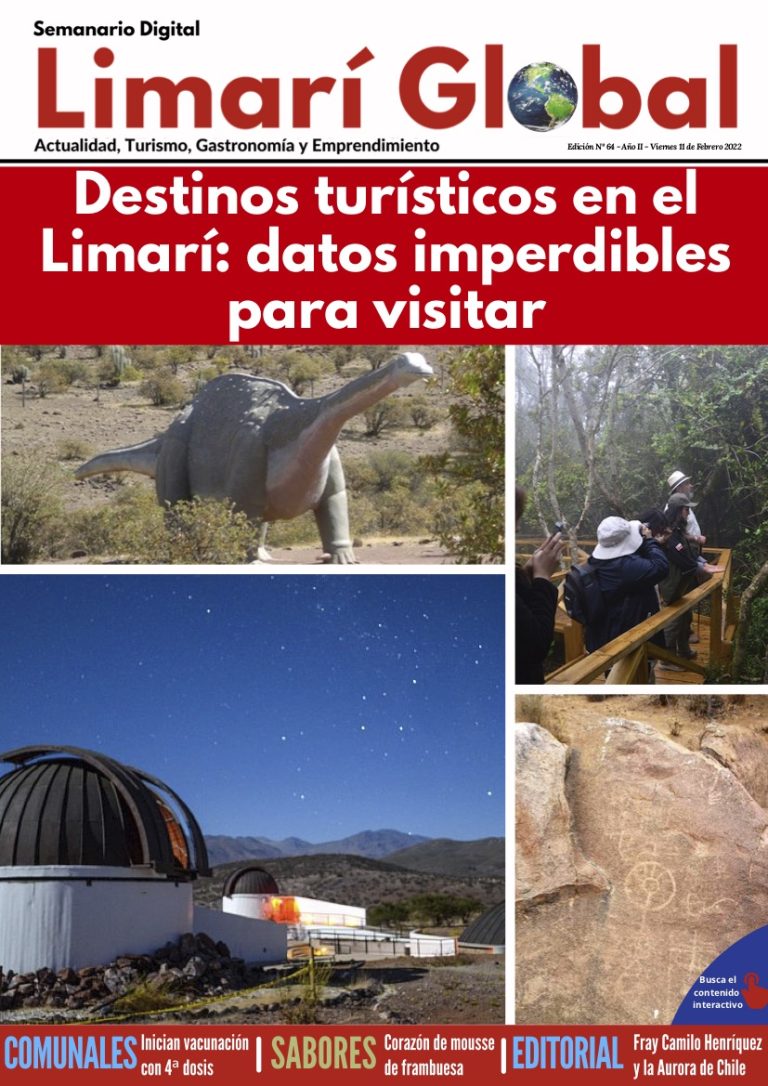 Limarí Global Nº64