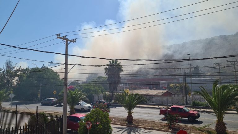 ¡Alerta! Se produjo esta tarde incendio de pastizales en La Silleta