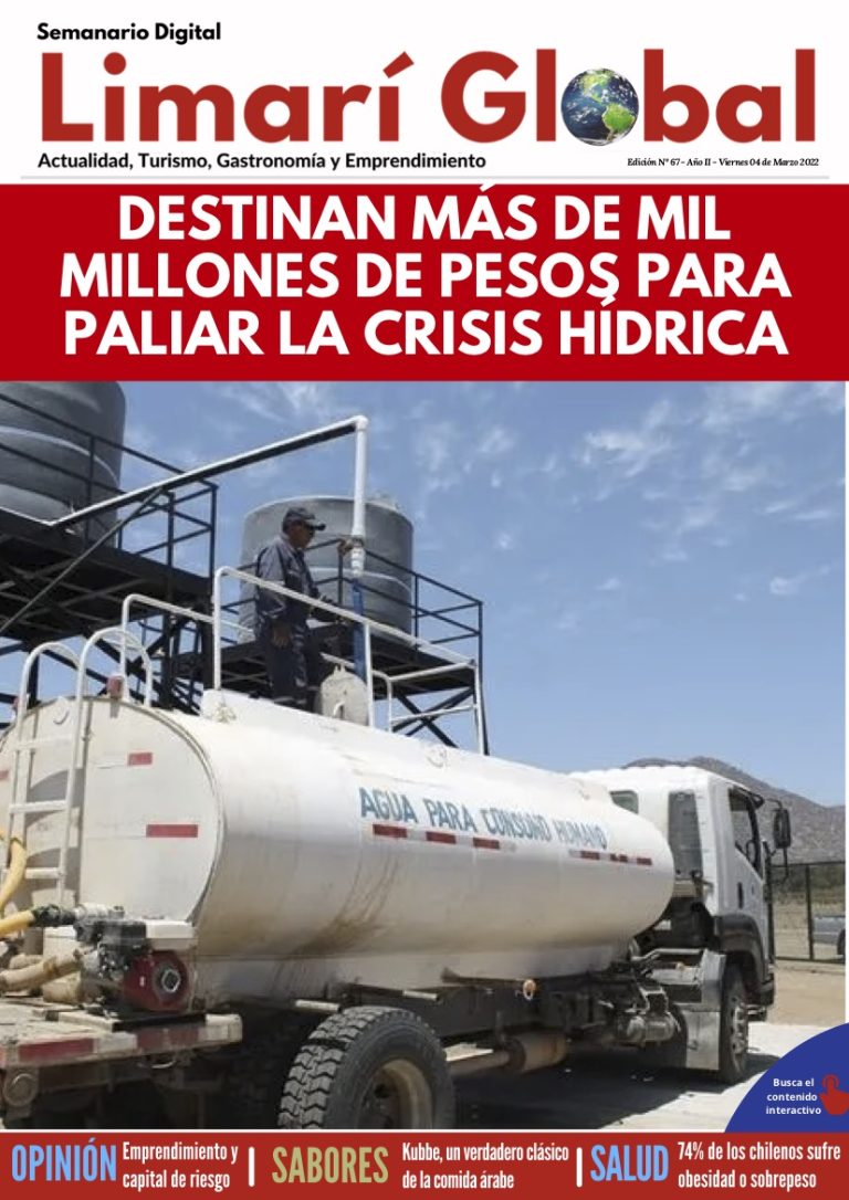 Limarí Global Nº67