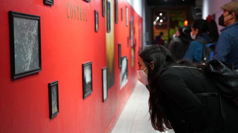 FONCREA 2022 oficializa a sus cuatro artistas ganadores