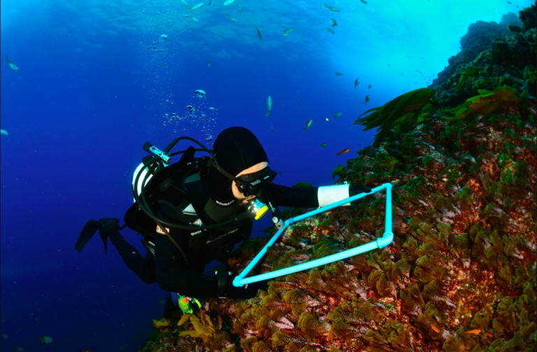 Científicos investigarán cualidades oceanográficas locales para la instalación de plantas desalinizadoras