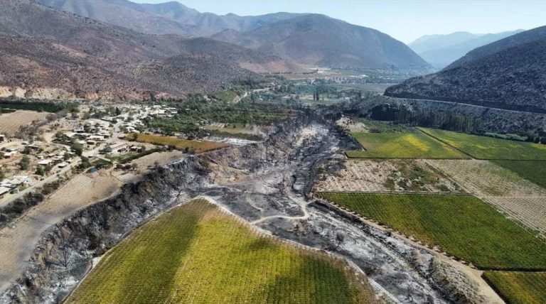 El incendio de Monte Patria ha arrasado con al menos 120 hectáreas hasta el momento