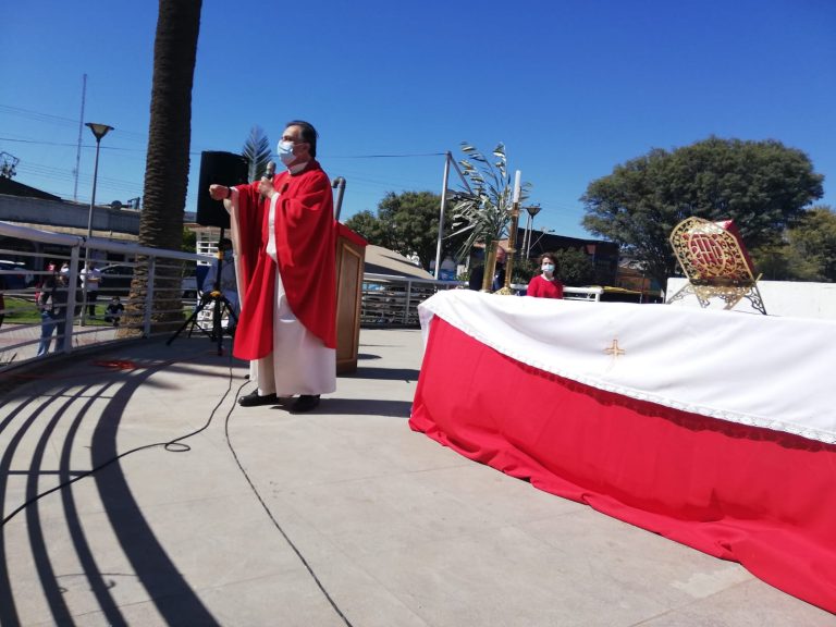 Revisa este colage de fotos de la Misa del domingo de Ramos en Plaza la Alameda